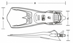 large fin gull mew chyper balidiveshop 2